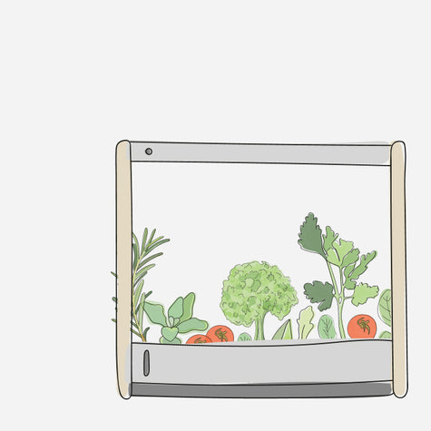 Something Very Unexpected Happened When Rise Gardens Started Going Out Into The World