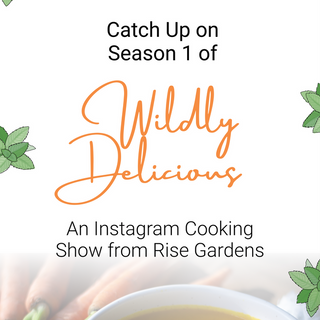 Catch Up on Wildly Delicious Season 1