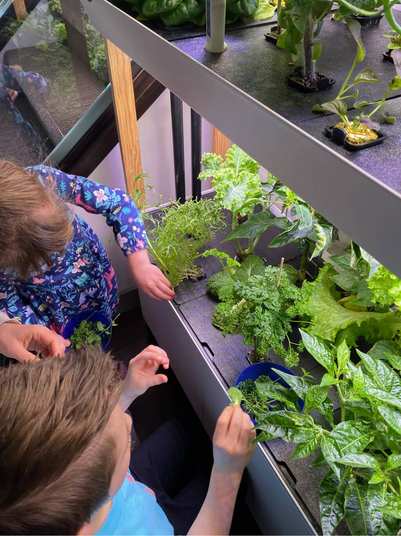 5_Fun_Kids_Gardening_Activities-1.jpg risegardens