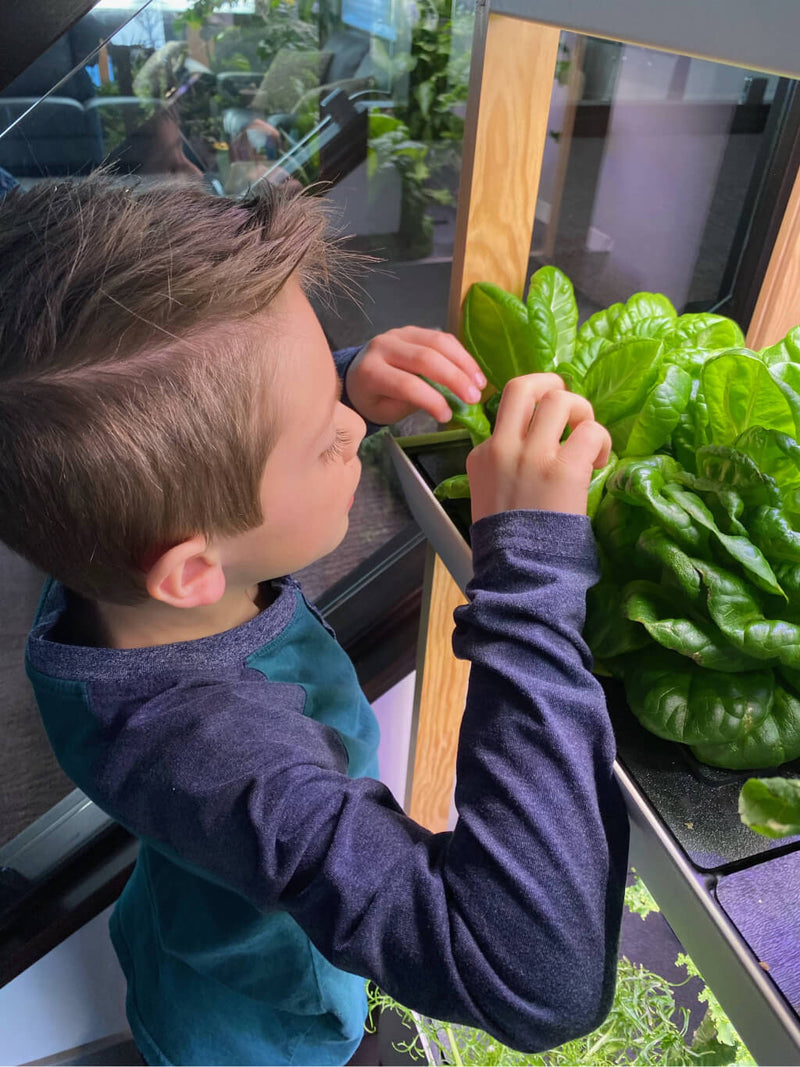 5_Fun_Kids_Gardening_Activities-7-1.jpg risegardens