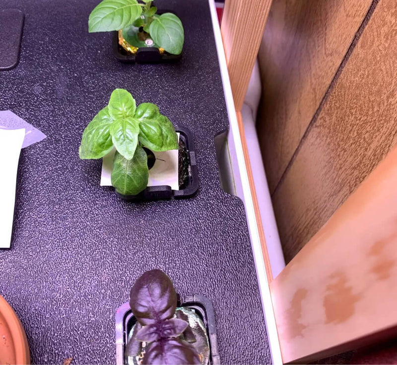 How_to_Make_Chicken_Coop_Potpourri_at_Home-2-2.jpg risegardens