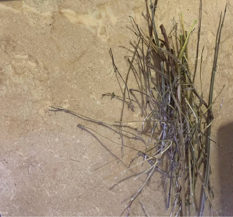 How_to_Make_Chicken_Coop_Potpourri_at_Home-2-3.jpg risegardens