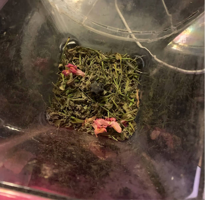 How_to_Make_Chicken_Coop_Potpourri_at_Home-2-4.jpg risegardens