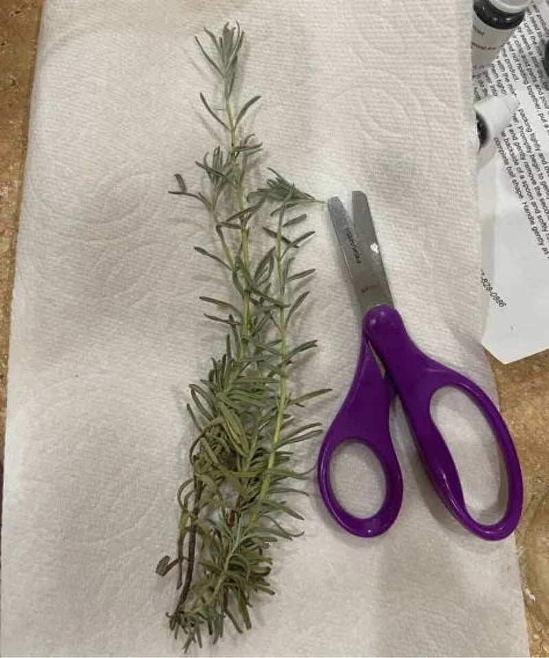 How_to_Make_Lavender_Bath_Bombs-1-1.jpg risegardens