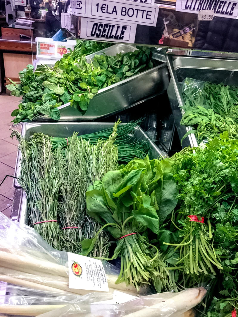 IMG_5978.jpg risegardens