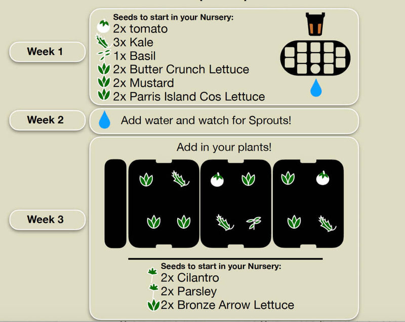 Indoor_Garden_Crop_Planning-5.jpg risegardens
