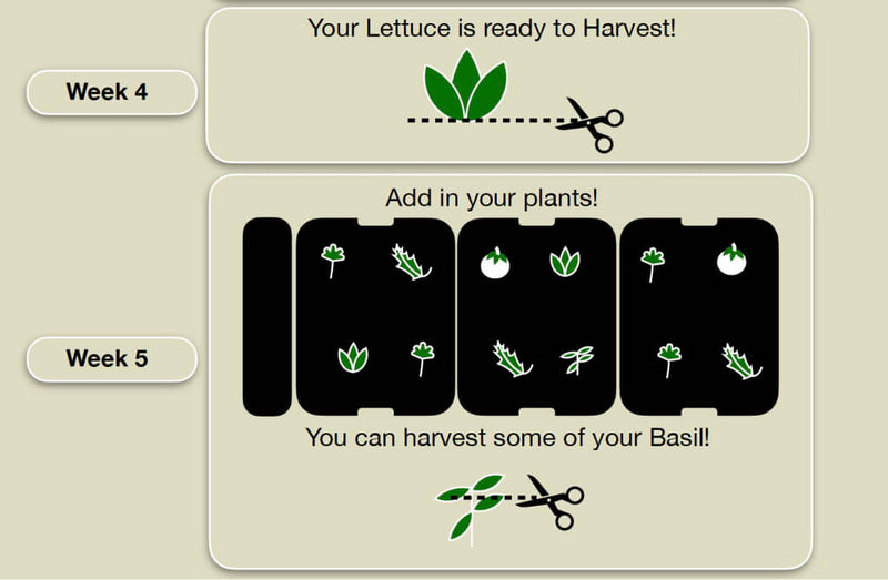 Indoor_Garden_Crop_Planning-6.jpg risegardens