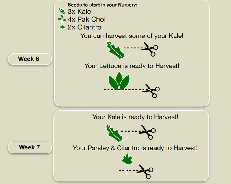 Indoor_Garden_Crop_Planning-7.jpg risegardens