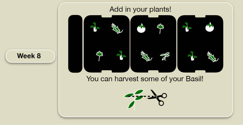 Indoor_Garden_Crop_Planning-8.jpg risegardens