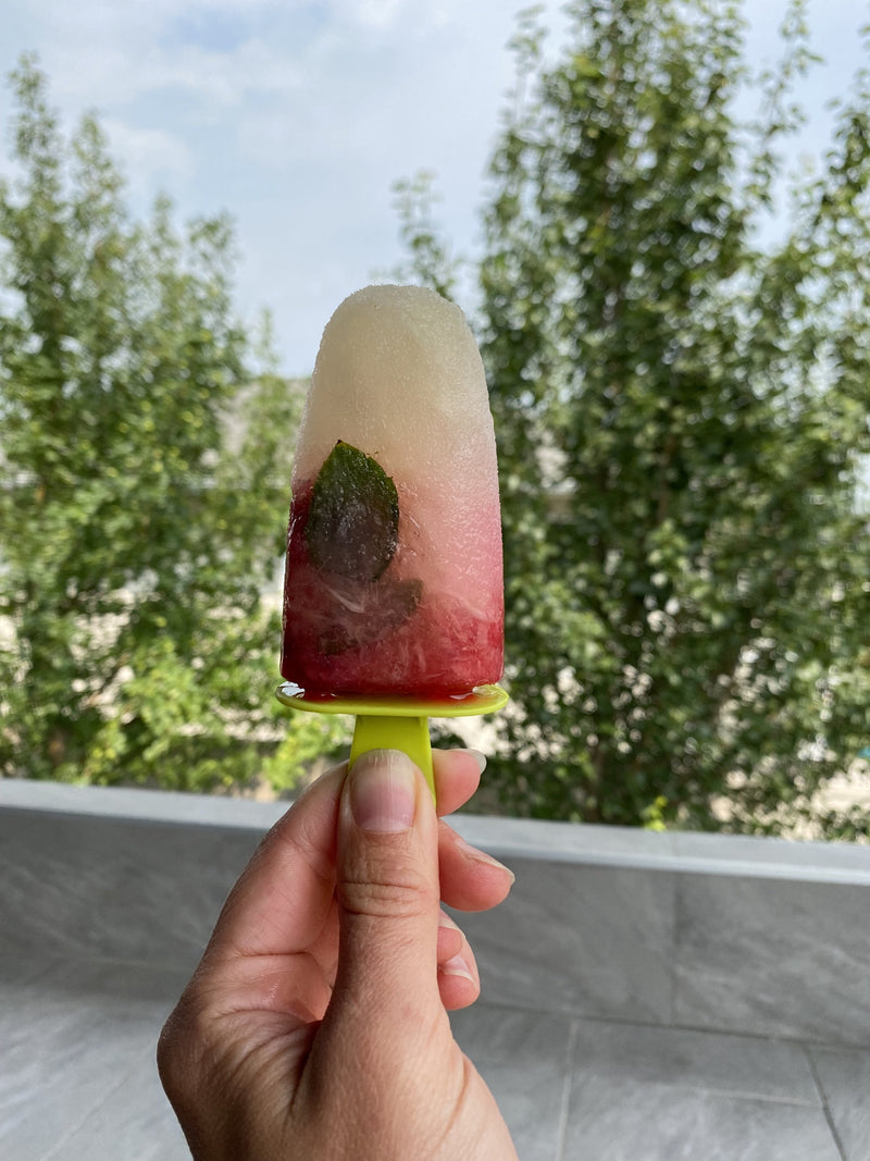 Mint1.jpg risegardens