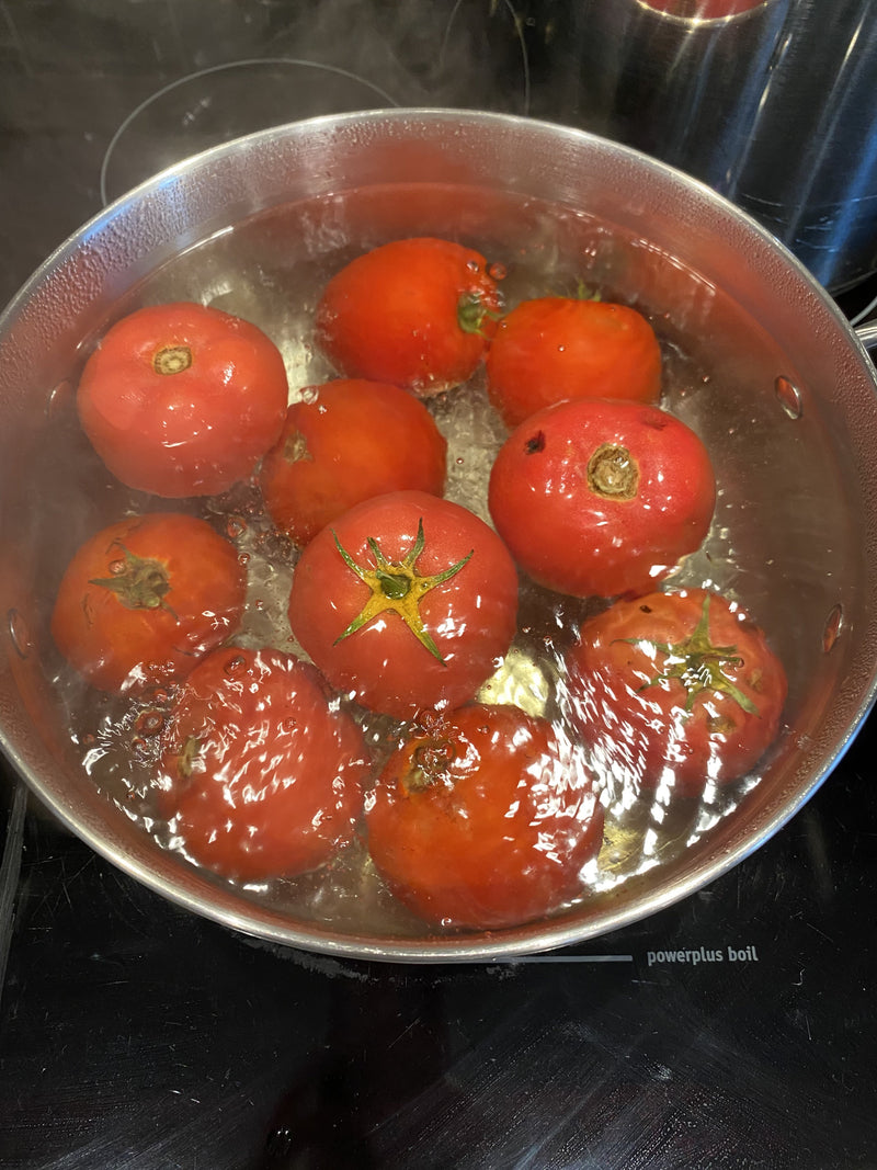 Salsa2.jpg risegardens