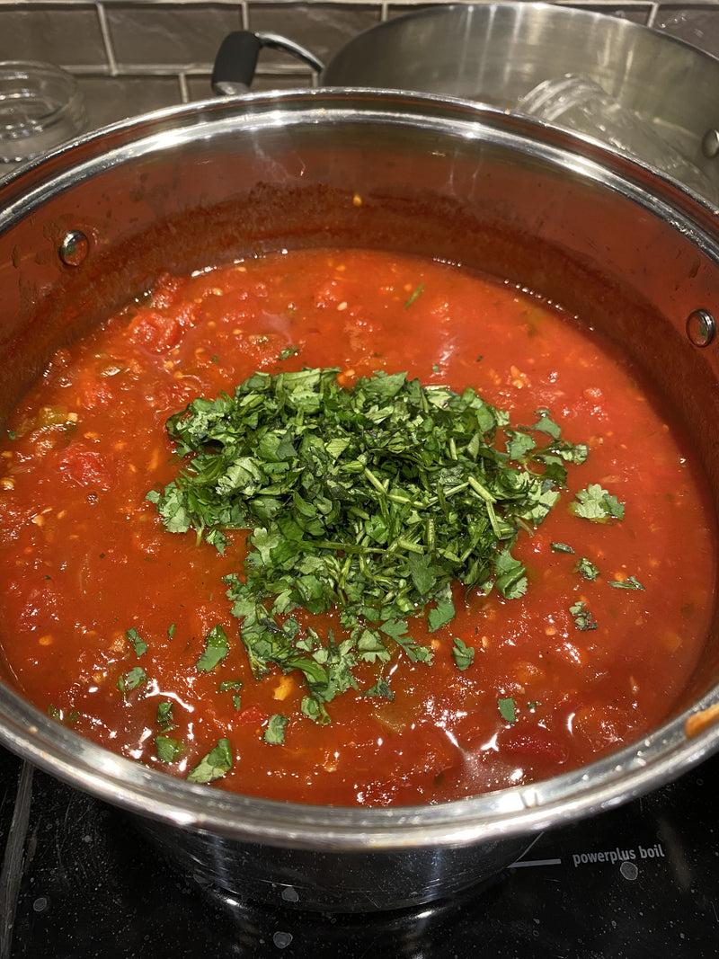 Salsa4.jpg risegardens