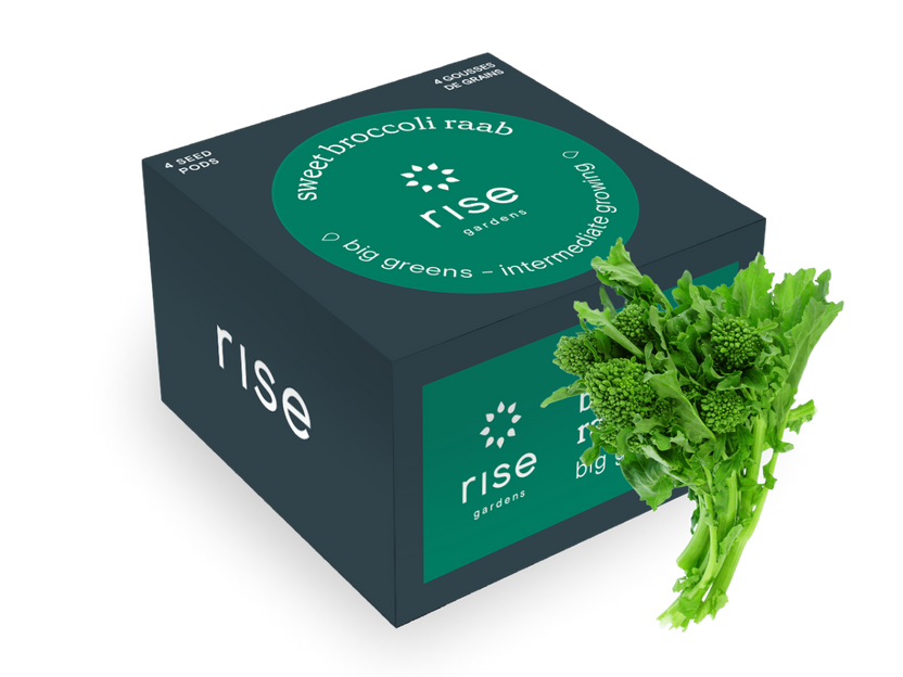 Sweet Broccoli Raab