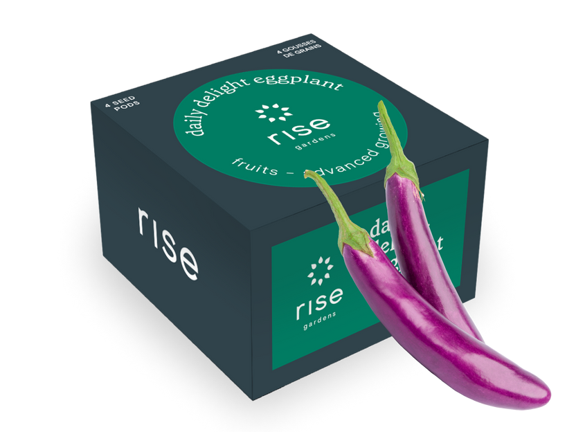 Daily Delight Eggplant