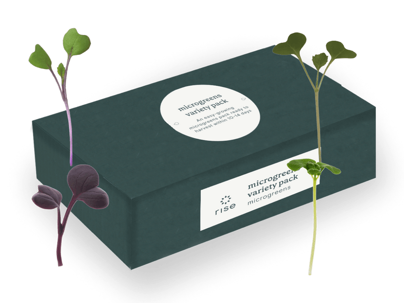 Microgreens Variety Pack