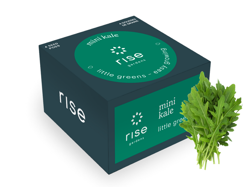 Mild Arugula