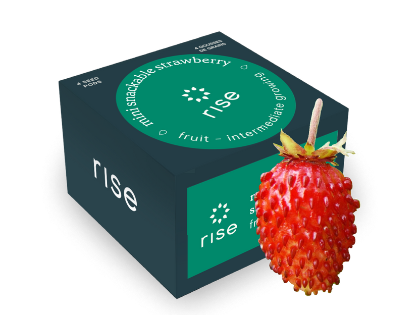 Mini snackable Strawberry