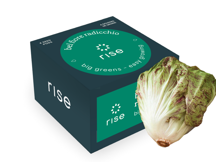 Bel Fiore Radicchio