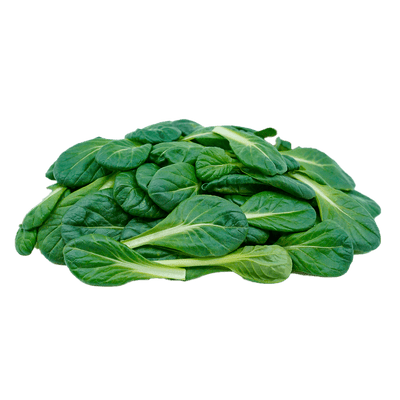 Classic Tatsoi