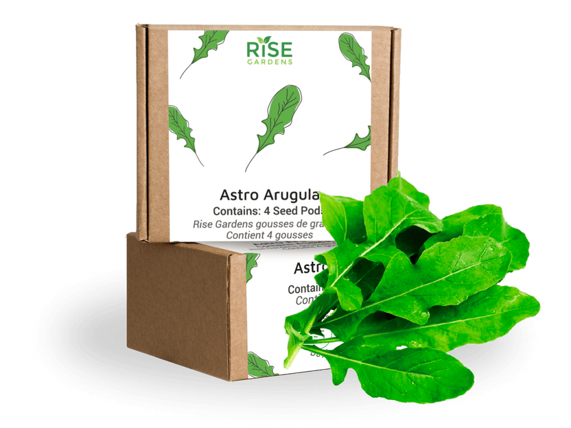 Astro Arugula