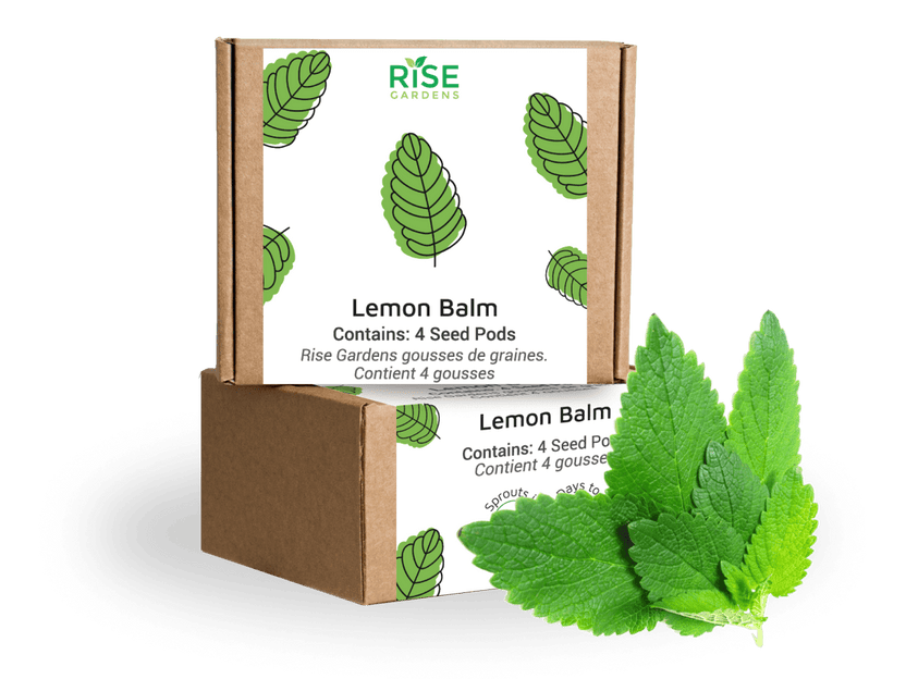 Classic Lemon Balm