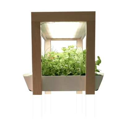 Indoor Garden Extension - Rise Gardens Canada