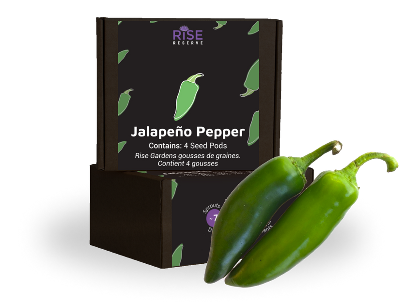 Jalapeño Pepper