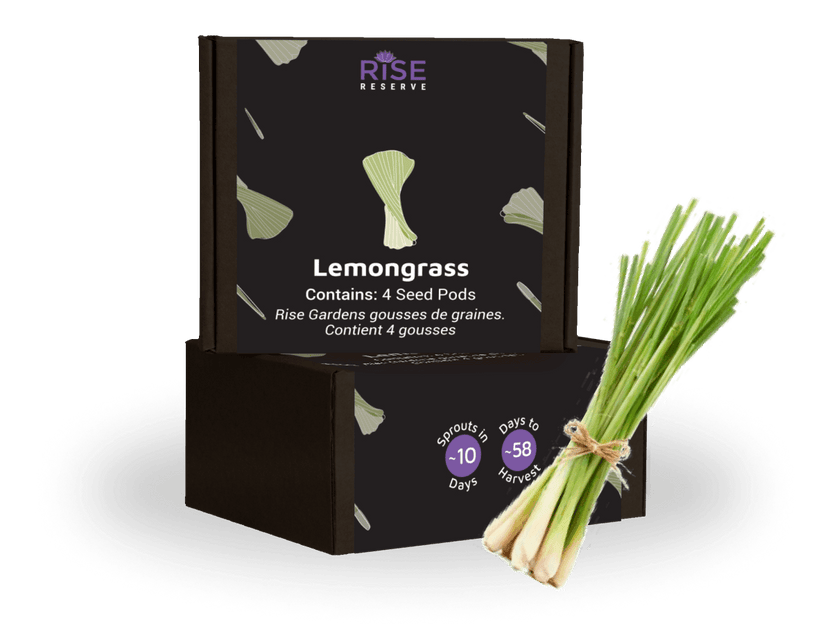 Classic Lemongrass