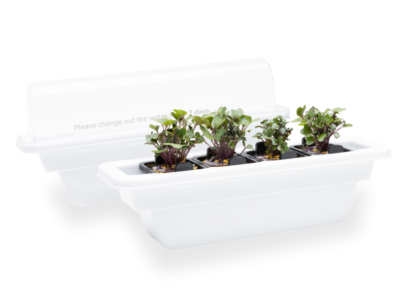 Rise Gardens Nursery