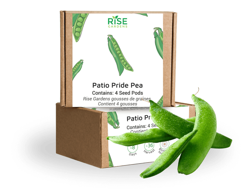 Patio Pride Pea