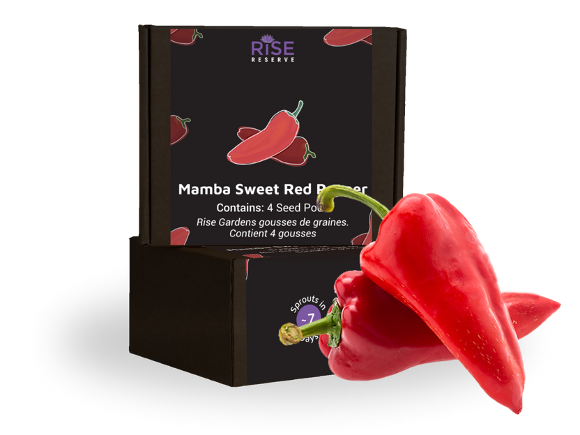 Pepper Mamba Sweet Red