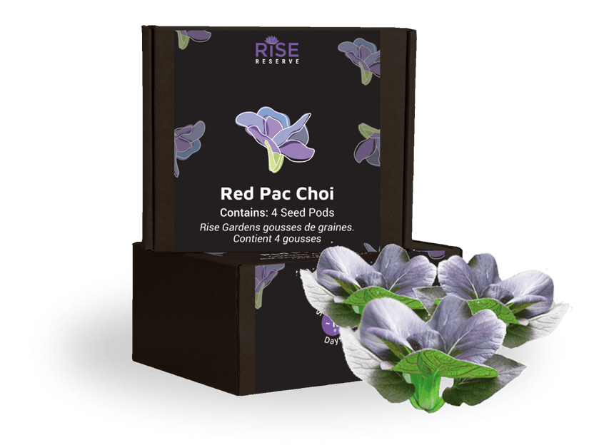 Red Pac Choi