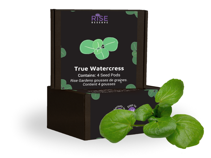Watercress True