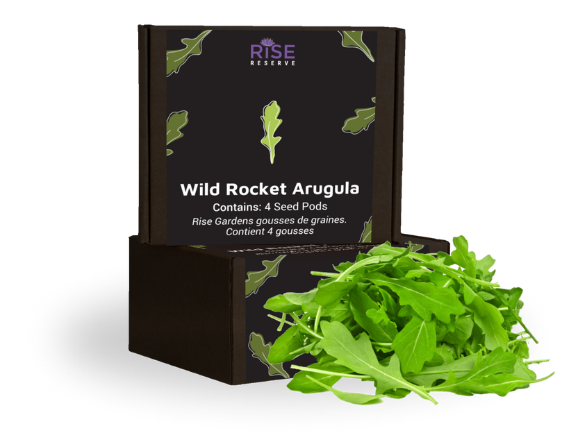 Wild Rocket Arugula