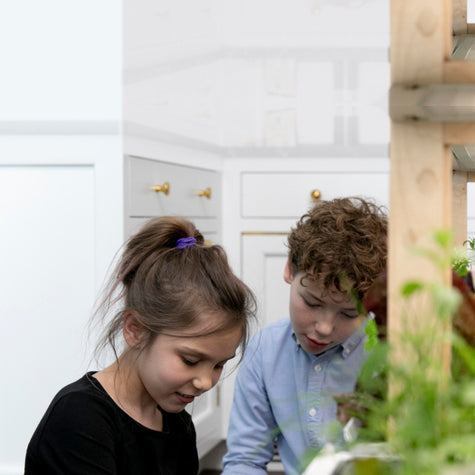 5 Educational Science Activities for Kids with your Rise Gardens