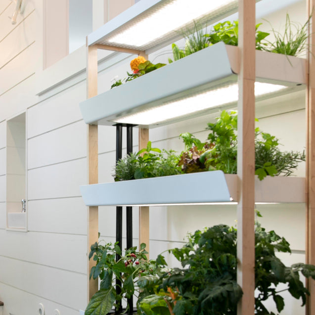 An Indoor Garden That Fits Anywhere in Your Home