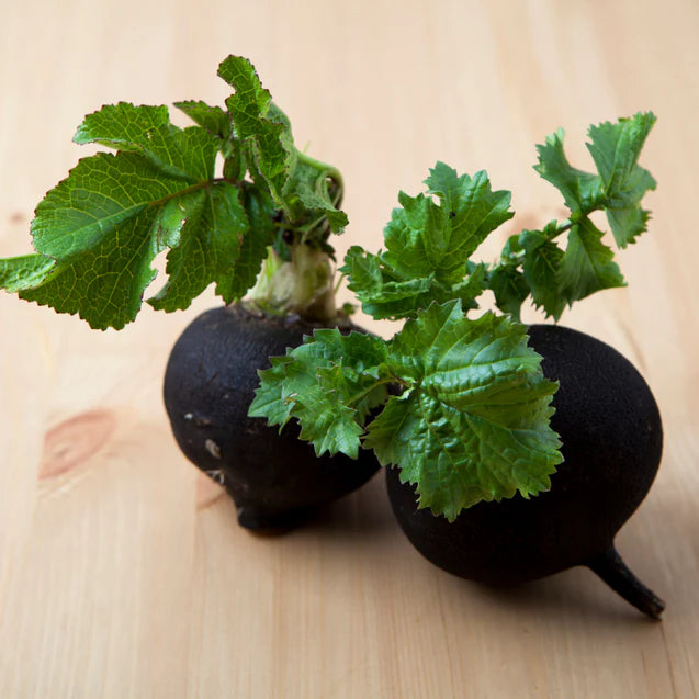 5 Cool Facts About Black Radishes