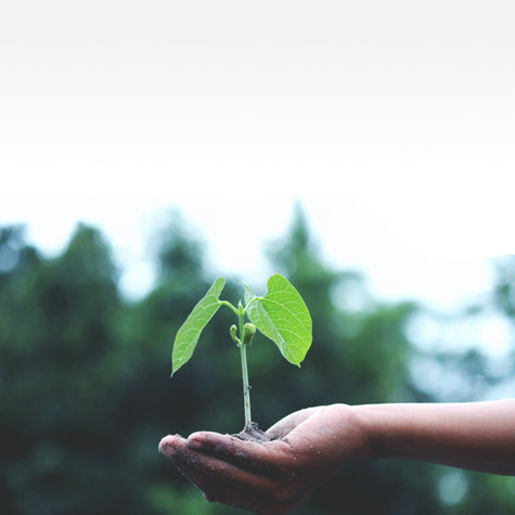 Earth Day: Transforming the Food System One Garden at a Time