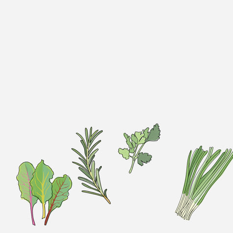 Planning Your Thanksgiving Herb Garden