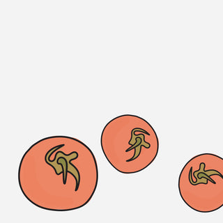 Rise Gardens Helps You Grow the Perfect Tomato in Your Living Room