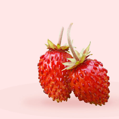 Rise Strawberries 101