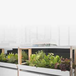 The first thing people ask us when they see a Rise Garden are...