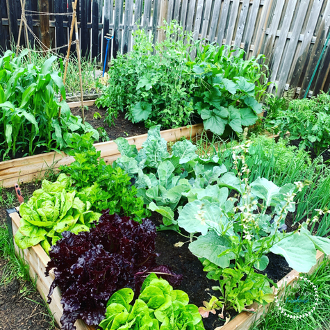 Gardening Year-Round in Canada