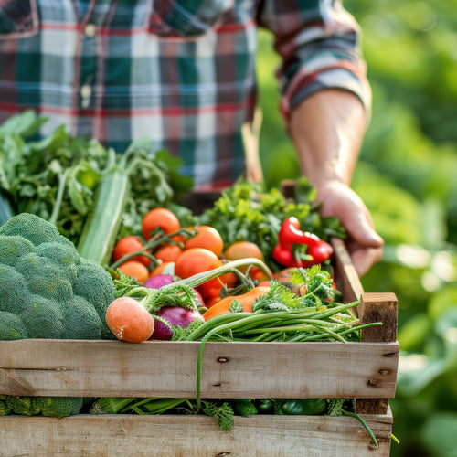How to Find a Local CSA