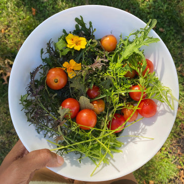 The Power of Risegrown Hydroponic Produce