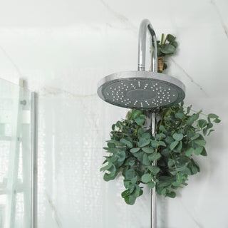 Find Your Zen With an Eucalyptus Shower Bundle