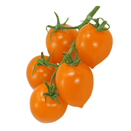 Heartbreakers Dora Orange Tomato