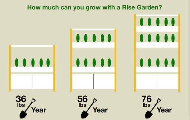 Rise Gardens