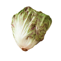 Bel Fiore Radicchio