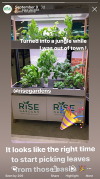 Something_Very_Unexpected_Happened_When_Rise_Gardens_Started_Going_Out_Into_The_World-1.png risegardens